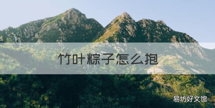 竹叶粽子怎么抱,怎样包粽子简单又快又好视频