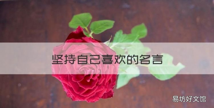 坚持自己喜欢的名言,坚持自己喜欢的事名人