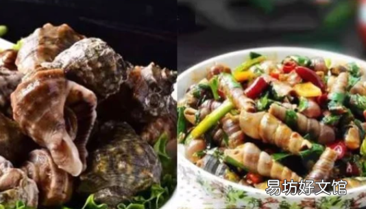 海鲜有哪些种类贝类,常见的20种贝类海鲜图片