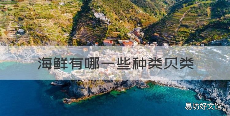 海鲜有哪些种类贝类,常见的20种贝类海鲜图片
