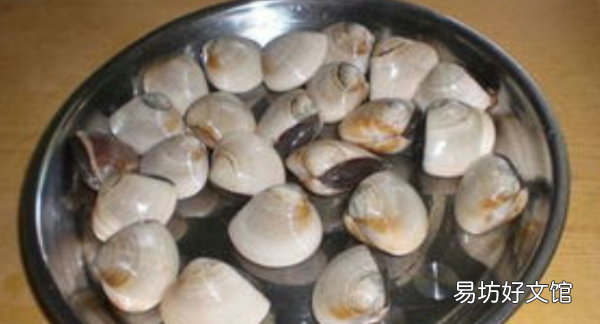 海鲜有哪些种类贝类,常见的20种贝类海鲜图片