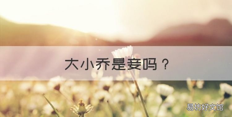大小乔是妾