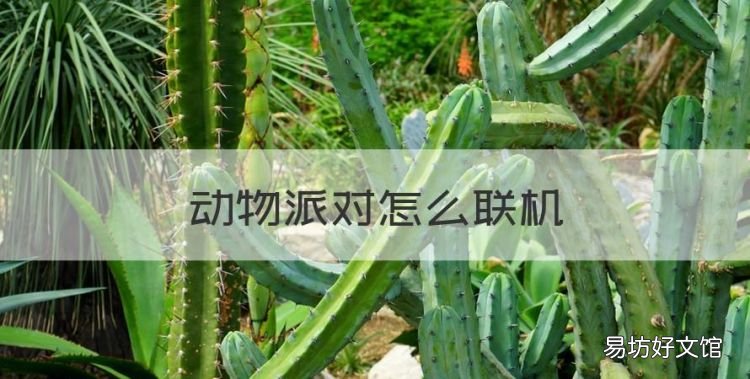 动物派对怎么联机,动物派对手游官方版免费下载