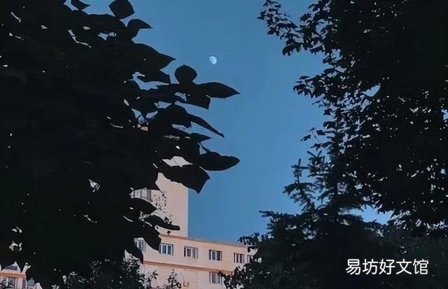 你好,2021!往事不回头,万事皆可期