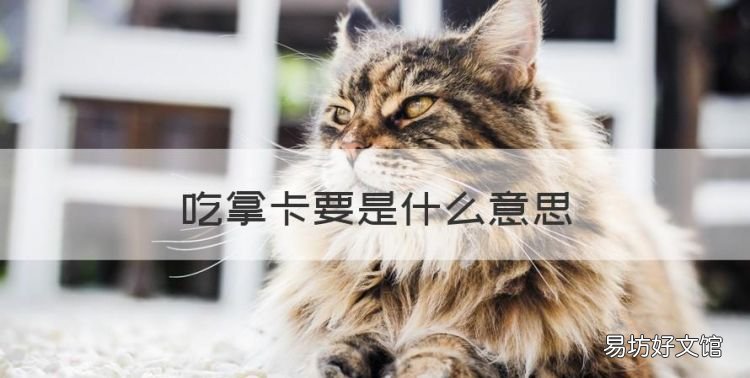 吃拿卡要是什么意思