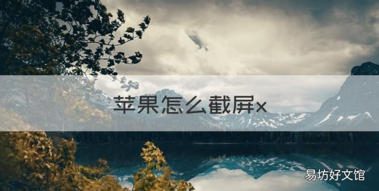 苹果怎么截屏x，iphonexr怎么截屏