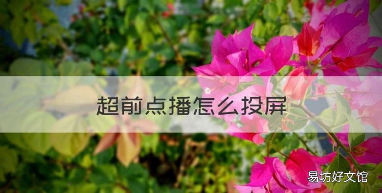 超前点播怎么投屏,优酷超前点播只能手机观看吗