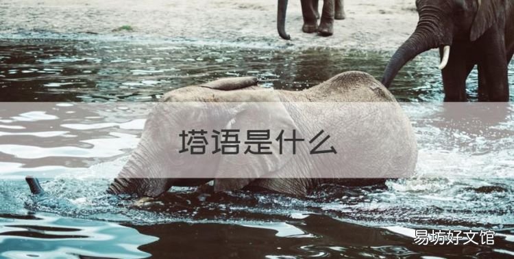 塔语是什么，奥语是哪里说的话