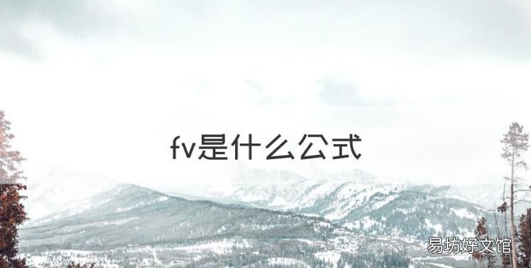fv是什么公式,w等于fv是什么公式