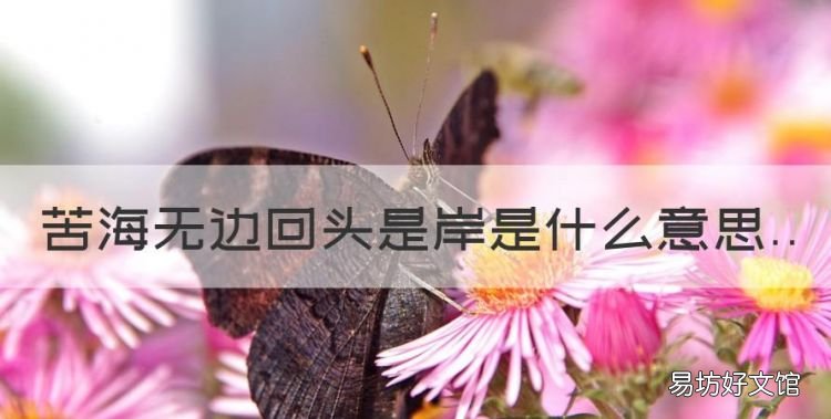 苦海无边什么意思，苦海无边回头是岸是什么意思