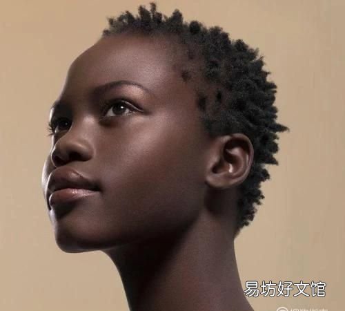 对于西方划分的四大人种是不是应该重新定义