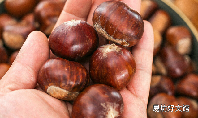 保存板栗最好不要把它直接放冰箱