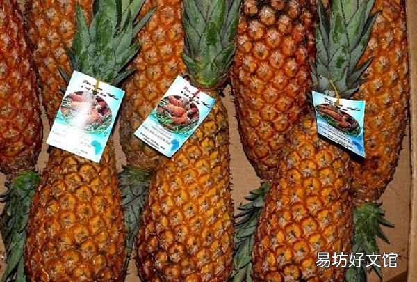 菠萝怎么吃要不要用盐水泡,吃菠萝之前菠萝用盐水泡一下