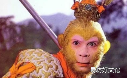 孙悟空是什么猴,《西游记》中孙悟空的原型是什么猴