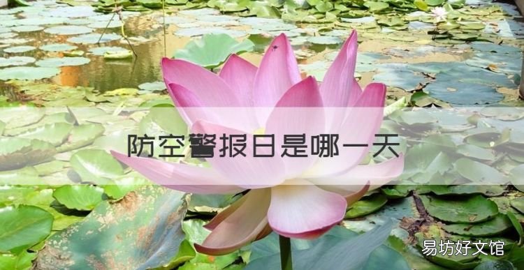 防空警报日是哪一天,我国每年的防空警报日是几月几号啊