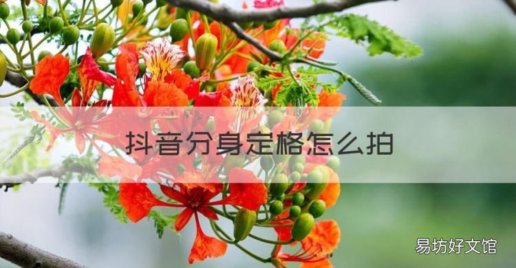 抖音分身定格怎么拍,分身大师怎么改抖音定位