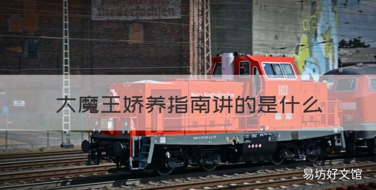 大魔王娇养指南讲的是什么