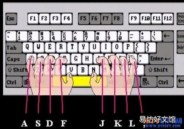 十个手指怎样正确按键盘图片 打字手指对应的键图片