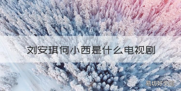 刘安琪何小西是什么电视剧,沈建宏为什么跟刘安琪结婚