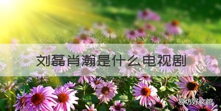影片情圣,刘磊肖瀚是什么电视剧