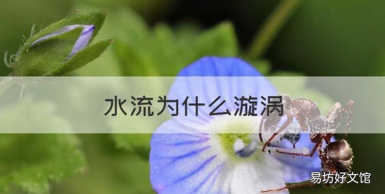 水流为什么漩涡,水漩涡是怎么形成的视频