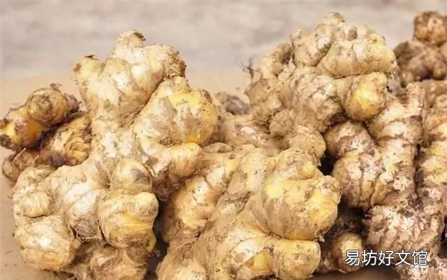 花米饭的染料植物图片