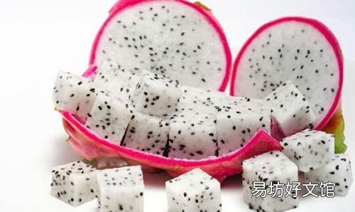一年可盆栽并结果的盆栽,100种组合盆栽种植