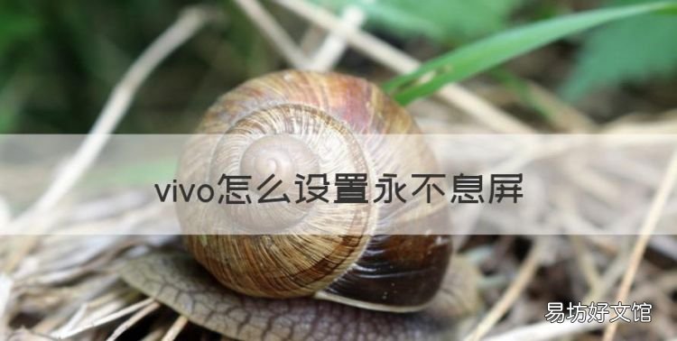 如何让手机屏幕不亮，vivo怎么设置永不息屏