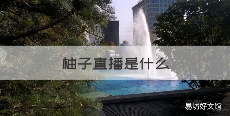 柚子直播是什么，柚子直播改什么名字了呢