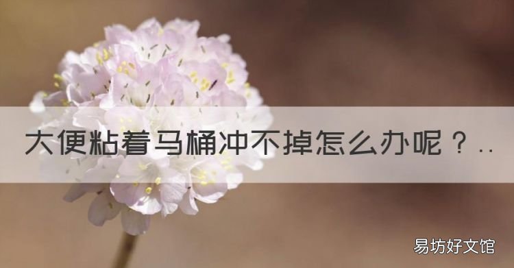 大便粘着马桶冲不掉怎么办，大便粘在马桶上冲不掉什么原因