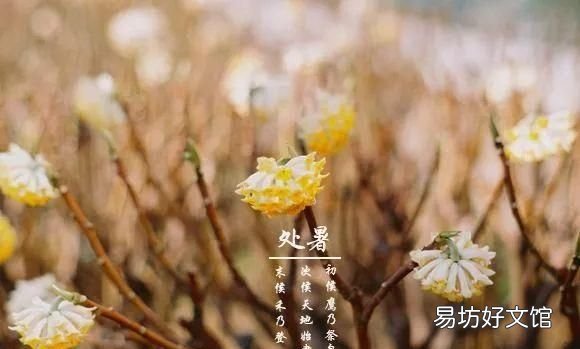 二十四节气之处暑