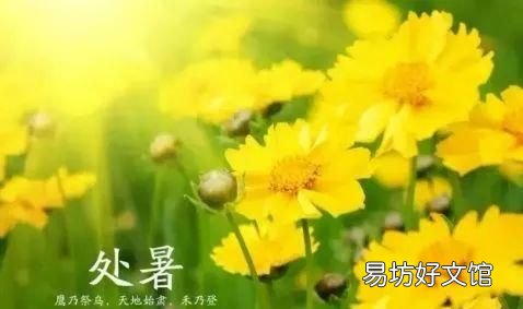 二十四节气之处暑