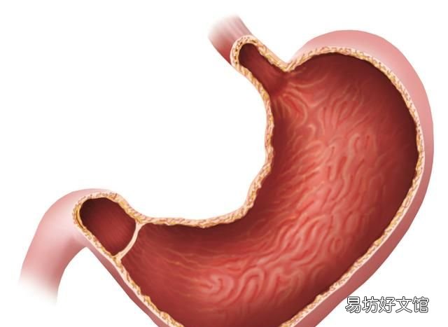 鱼翅的营养价值真的高吗,鱼翅属于营养价值高的名贵食材吗