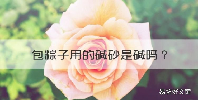 包粽子的线叫什么，包粽子用的碱砂是碱
