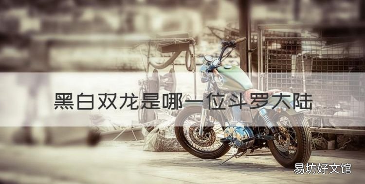 黑白双龙是哪一位斗罗大陆,《斗罗大陆》魂师对决朱竹清魂环搭配