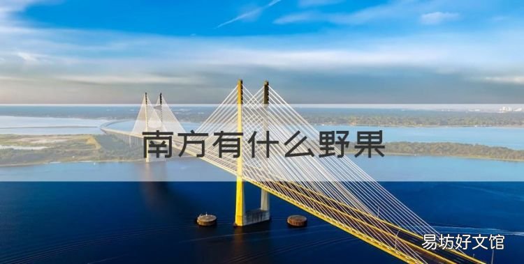 南方有什么野果,这种野果在南方很多英语