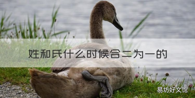 姓和氏什么时候合二为一的,姓和氏在含义上有什么区别