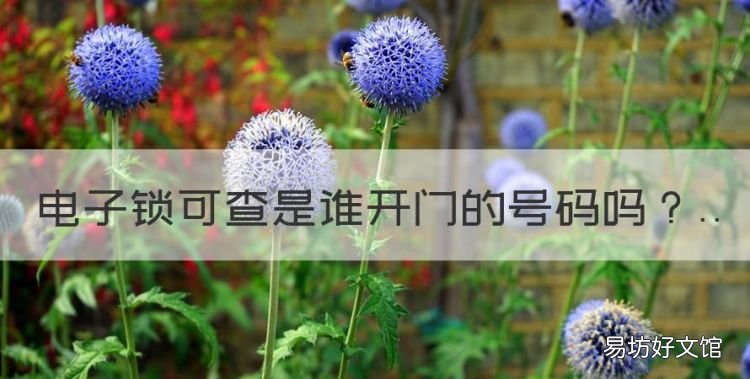 智能門鎖怎么開鎖圖解，電子鎖可查是誰開門的號(hào)碼