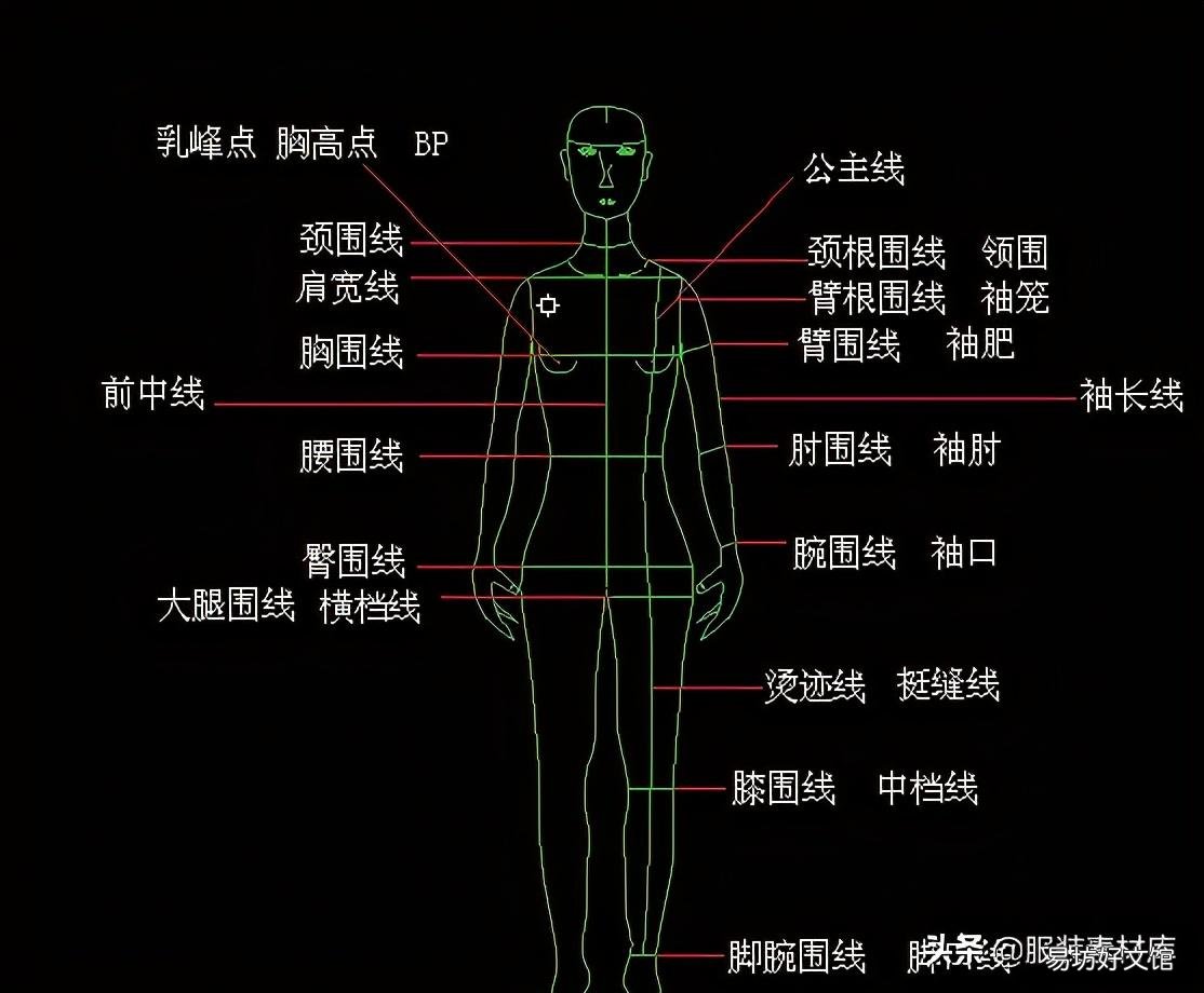 解析服装中bp的含义 服装bp点是什么意思