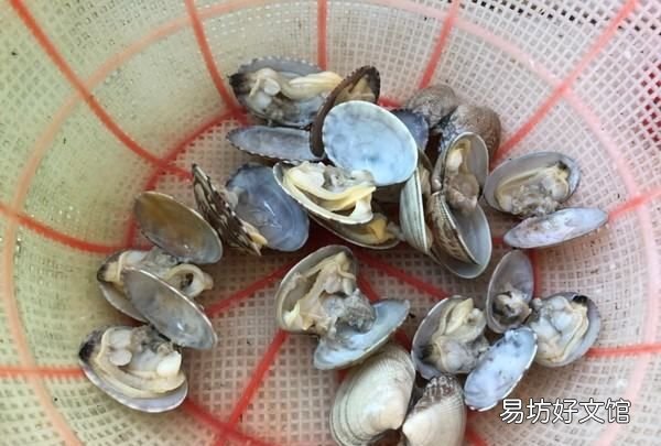 花甲怎么去除,花甲的黑屎怎么弄掉视频