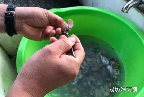 花甲怎么去除,花甲的黑屎怎么弄掉视频