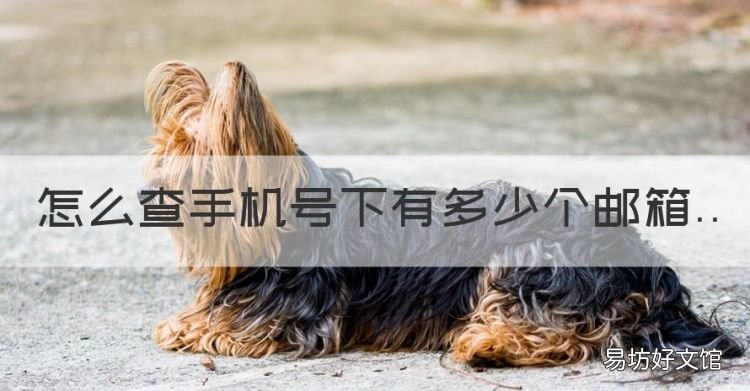 怎么查手机号下有多少个邮箱