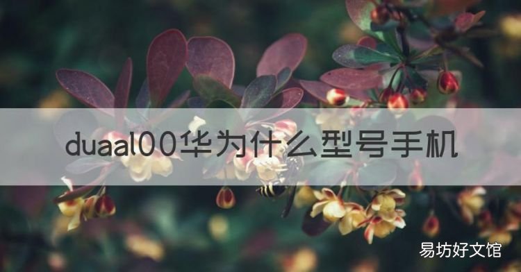 duaal00是华为什么型号,duaal00华为什么型号手机