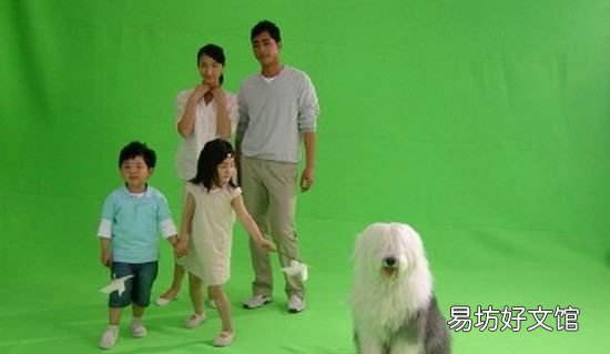 多乐士油漆怎么样，油漆广告的狗狗是什么品种