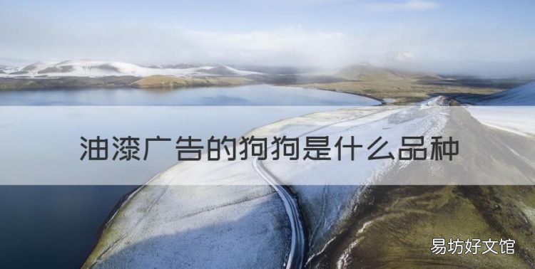 多乐士油漆怎么样，油漆广告的狗狗是什么品种