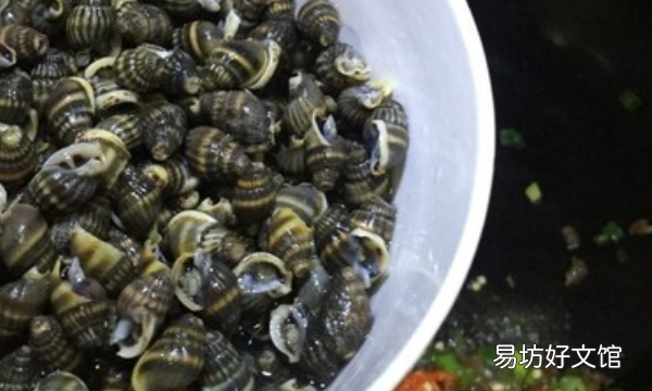 绿贝贝怎么吃,响螺的正确吃法