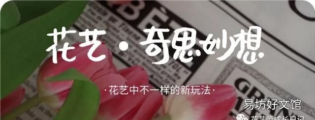 花艺格调,花艺灵感部落