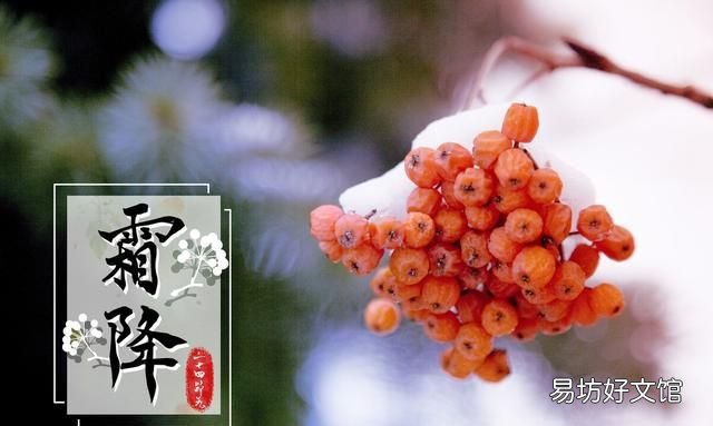 霜降晚秋,那些唯美的霜降节气句子