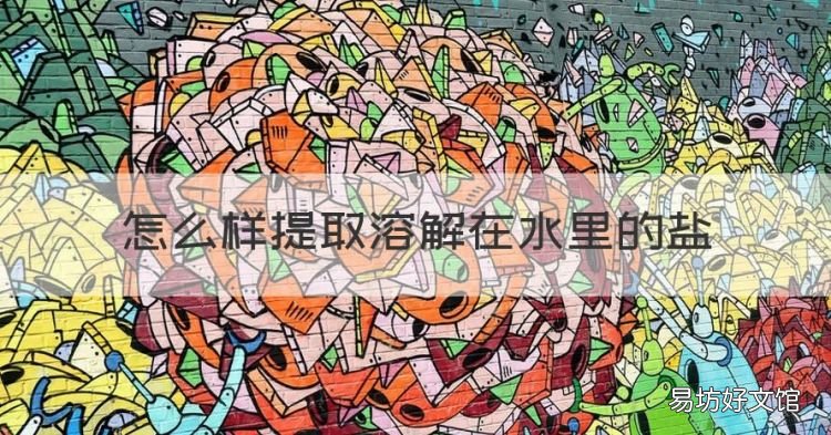 怎么样提取溶解在水里的盐