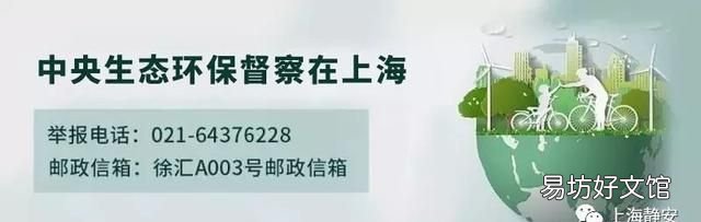冰箱里放什么菜不容易坏